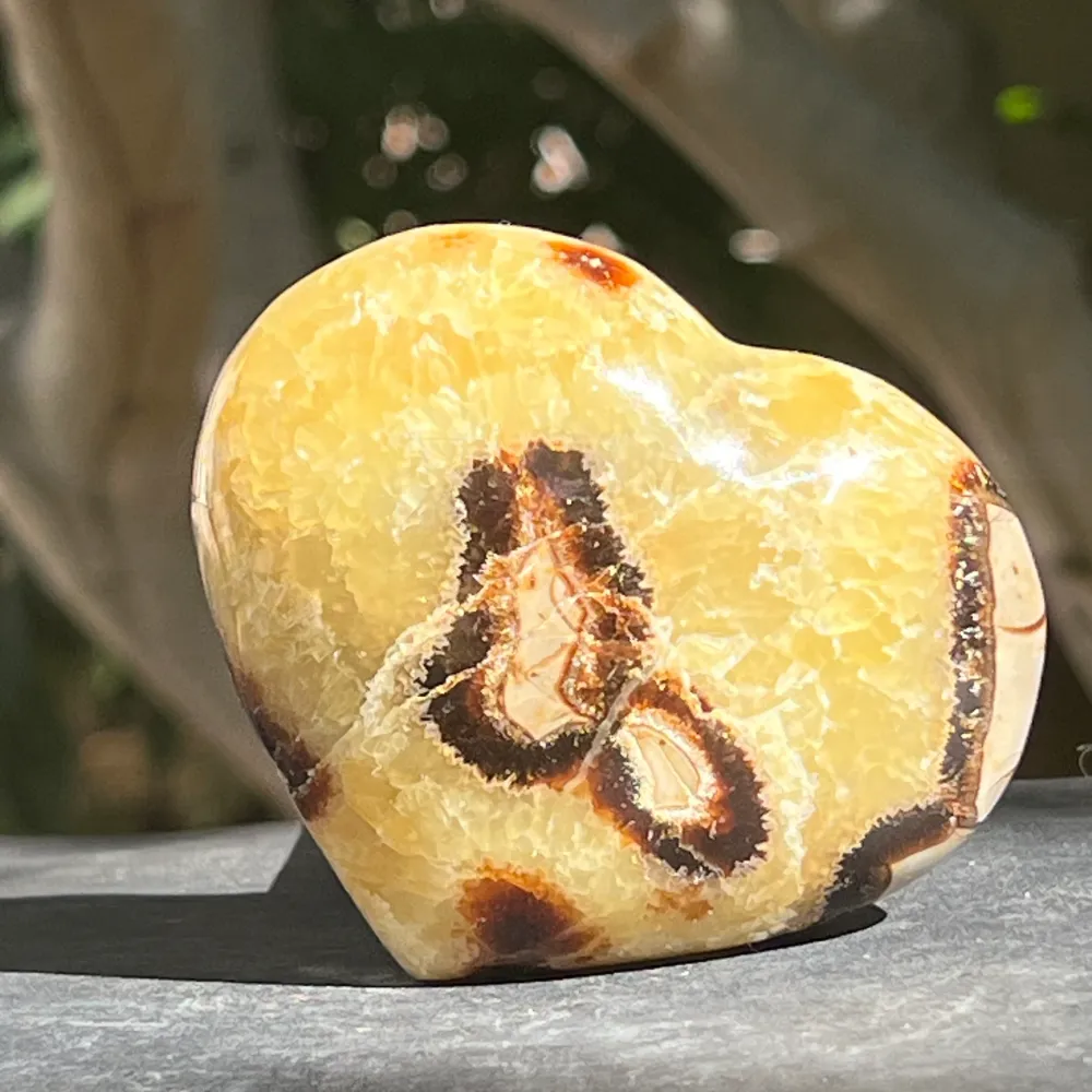 Сърдечна септария XL модел 1