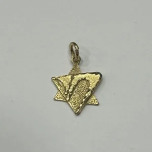 Висулка Израел