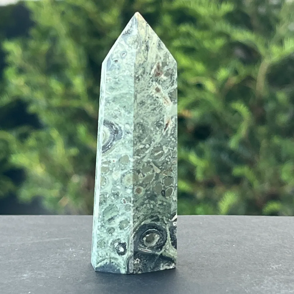 Jasper Obelisk Kambaba Madagascar модел 2