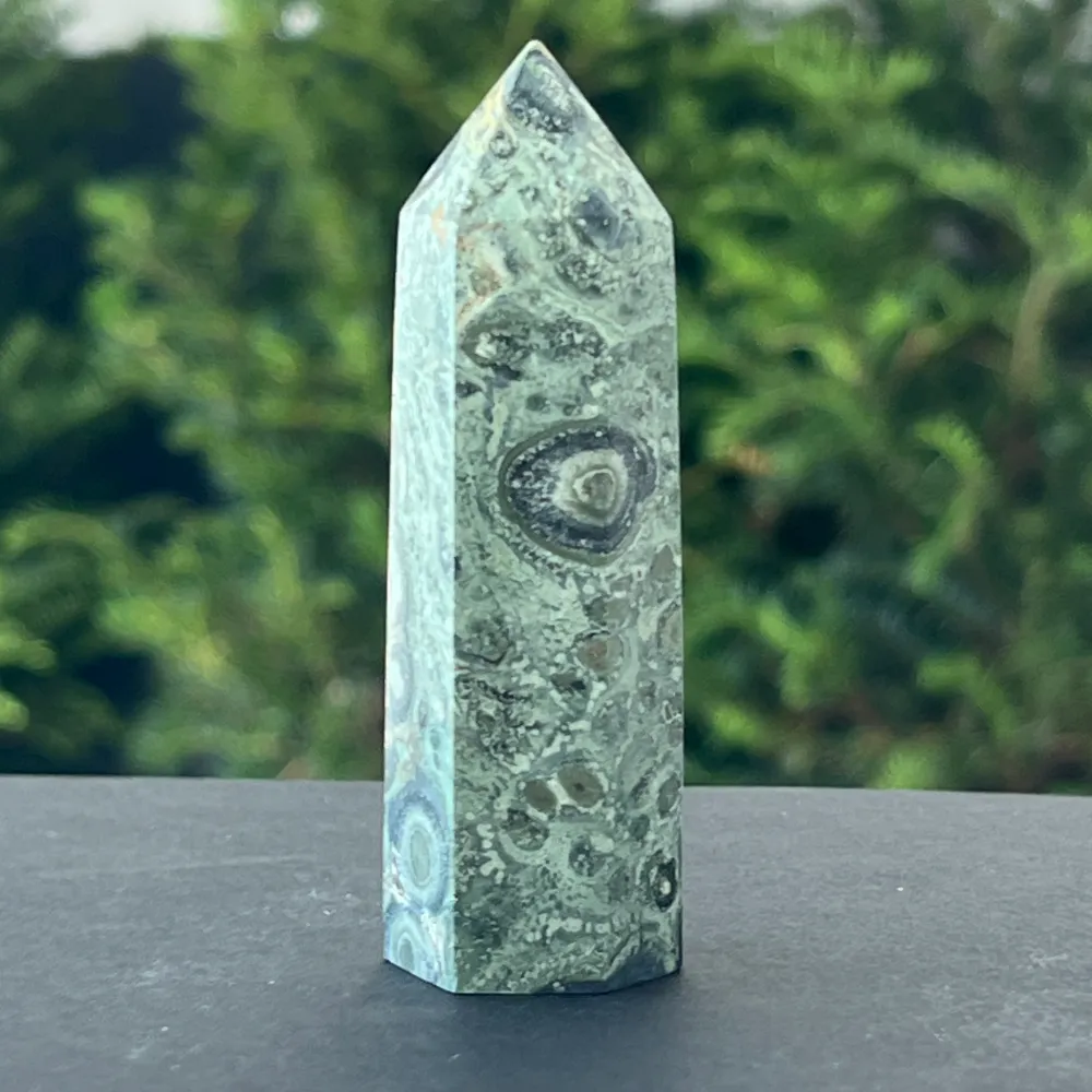 Jasper Obelisk Kambaba Madagascar модел 2