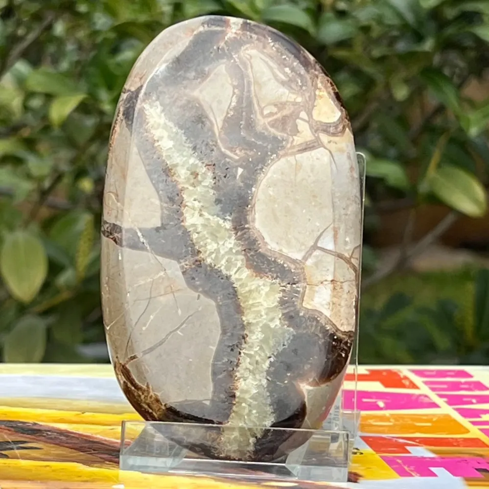 Нарежете септария m10