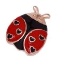 Martisor Brosa Mica Cutie, Dimensiune Brosa 2.5-3 cm, Material Metal, Model Buburuza