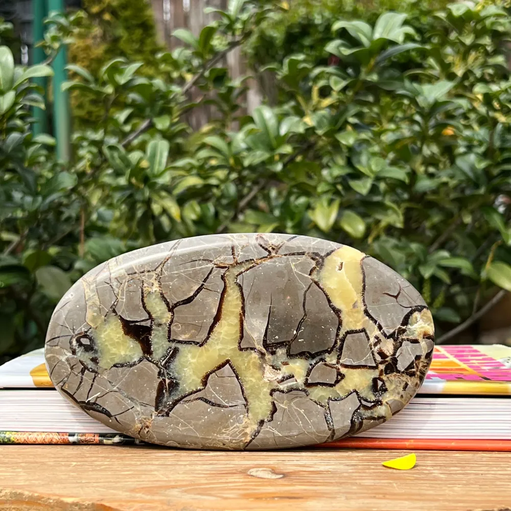 Slice septaria XL m3