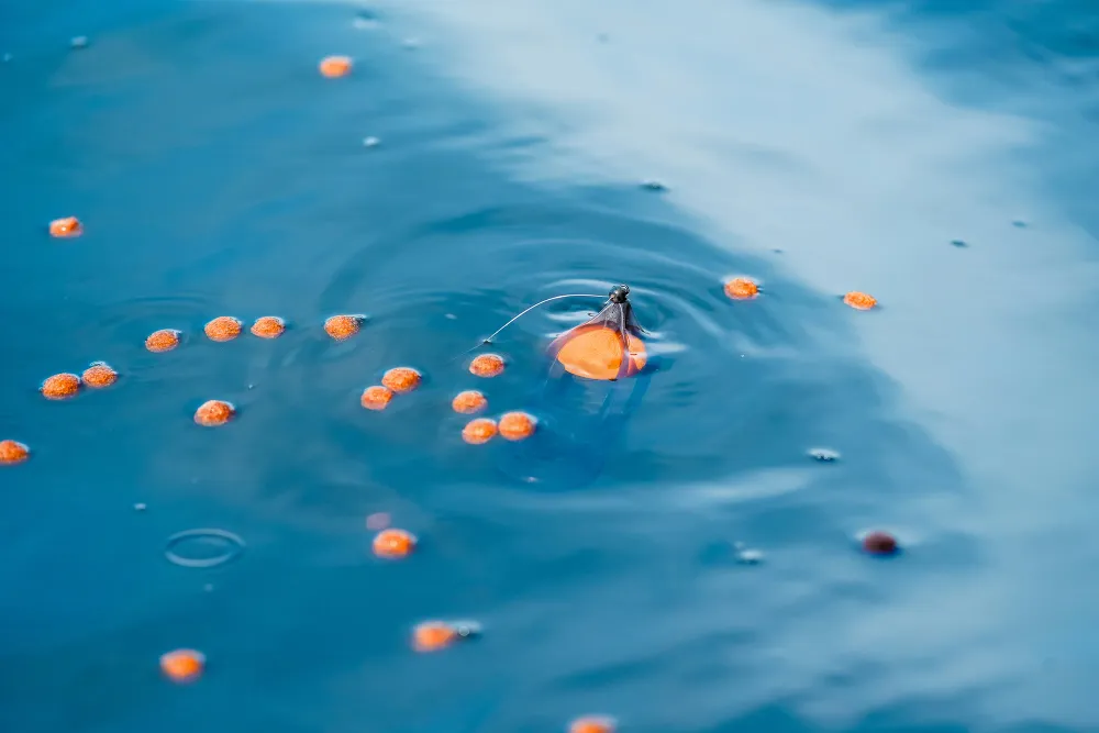 SURFACE FEEDER FLOAT