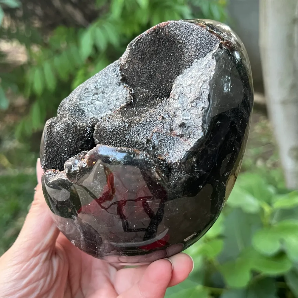 Яйце Септария от Мадагаскар, драконов камък, XL1