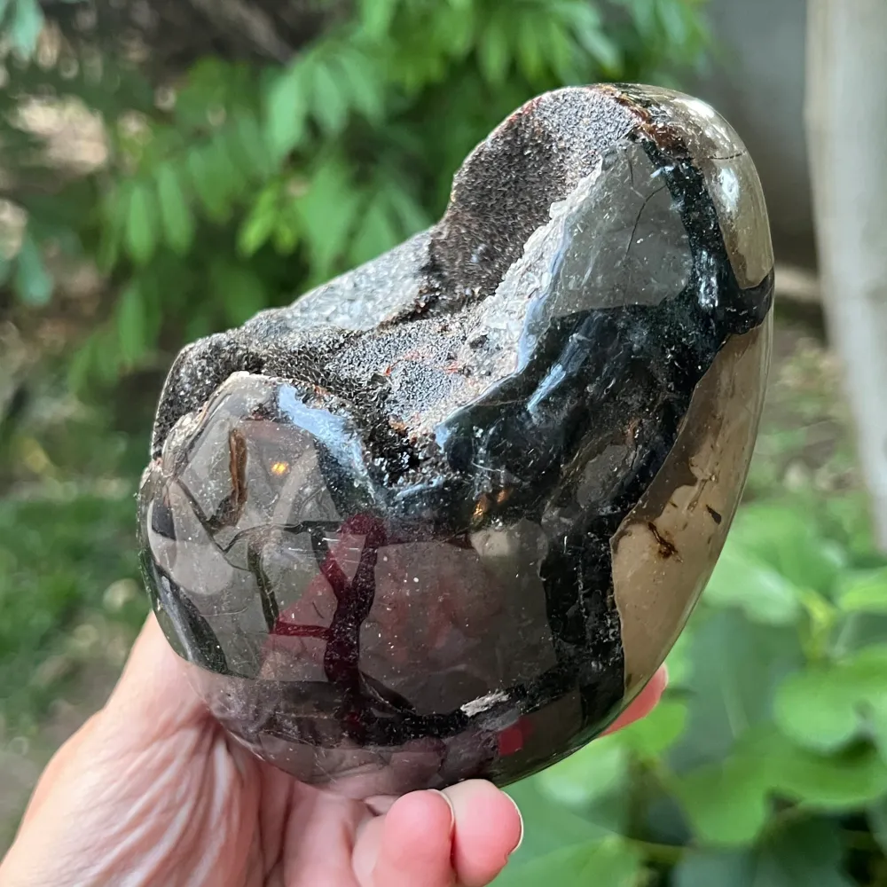Яйце Септария от Мадагаскар, драконов камък, XL1